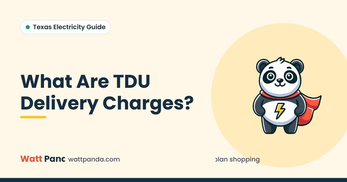 What Are TDU Delivery Charges? – Watt Panda guide illustration with the Watt Panda mascot